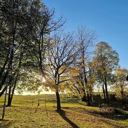 Daire Sjarmerende I Hjerte Av By