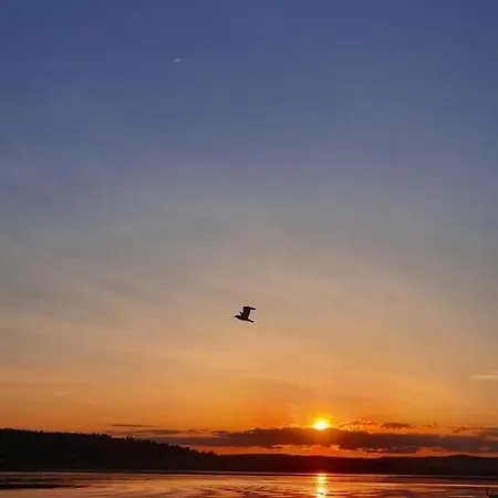 Sjarmerende I Hjerte Av By * Tønsberg