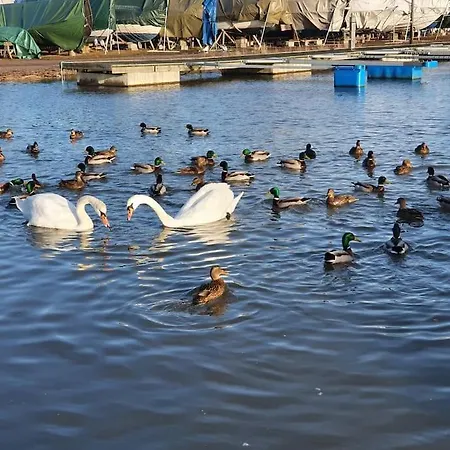 Sjarmerende I Hjerte Av By