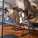 Apartamento Sjarmerende I Hjerte Av By Tønsberg