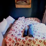 Sjarmerende I Hjerte Av By